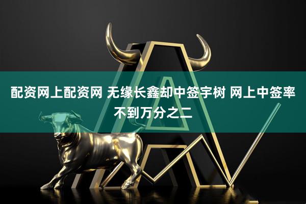 配资网上配资网 无缘长鑫却中签宇树 网上中签率不到万分之二